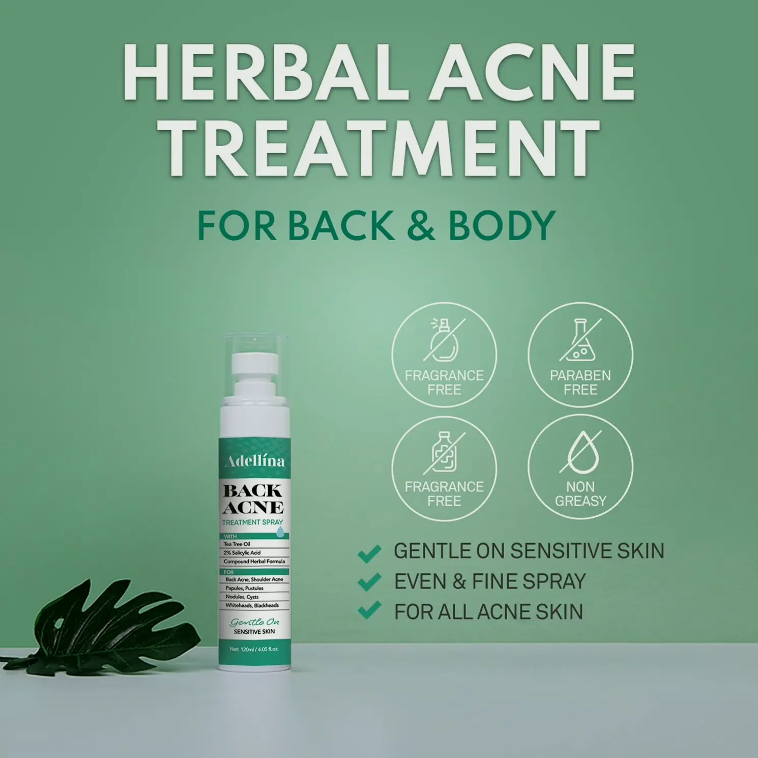 Body Acne Spray: Salicylic Acid, Tea Tree Oil & Niacinamide, 4 oz