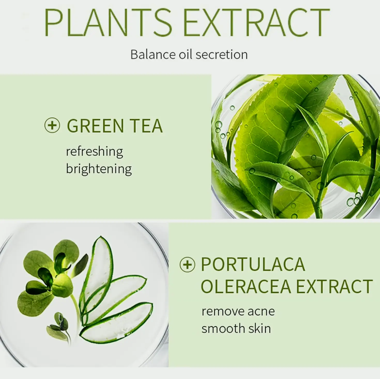 Green Tea Beauty Set for Ladies